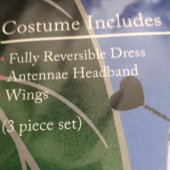 2 for $10 Reversible Ladybug 🐞 & Bee 🐝 Costume - Picture 6 of 7